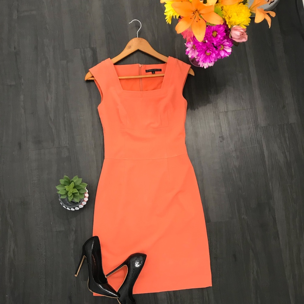 Anotonio Melani Dress. Fitted